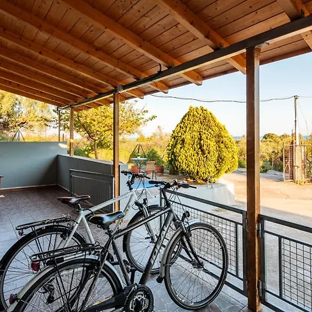 Makarounis Athanasios Traditional * Petalídhion